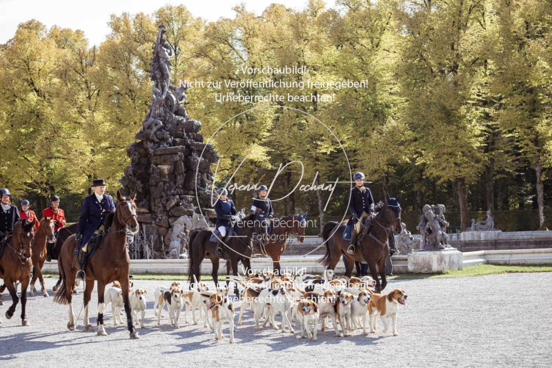 Schleppjagd_Herrenchiemsee-774 Schleppjagd_Herrenchiemsee-774