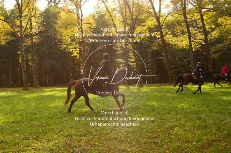 Schleppjagd_Herrenchiemsee-796 Schleppjagd_Herrenchiemsee-796