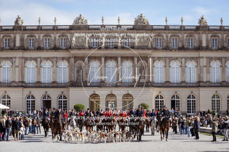 Schleppjagd_Herrenchiemsee-800 Schleppjagd_Herrenchiemsee-800