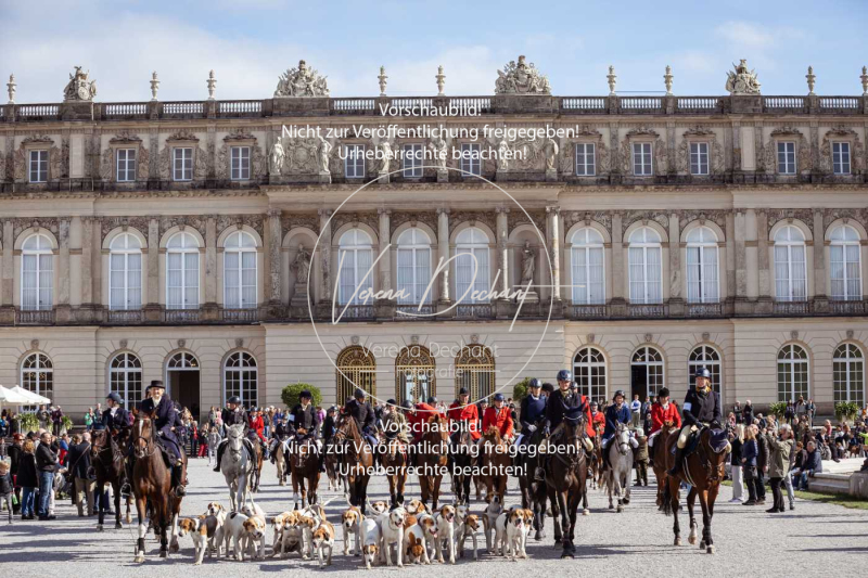 Schleppjagd_Herrenchiemsee-802 Schleppjagd_Herrenchiemsee-802