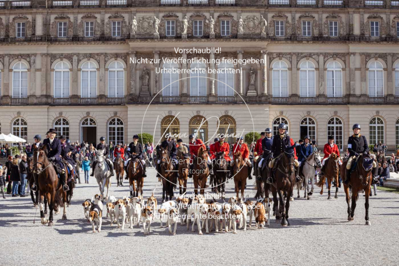 Schleppjagd_Herrenchiemsee-803 Schleppjagd_Herrenchiemsee-803