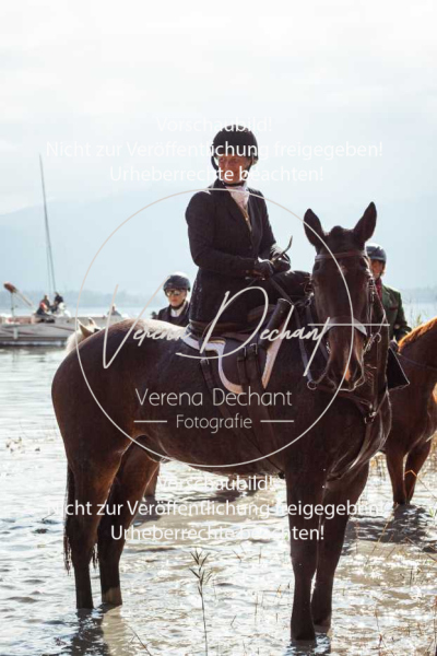 Schleppjagd_Herrenchiemsee-815-2 Schleppjagd_Herrenchiemsee-815-2