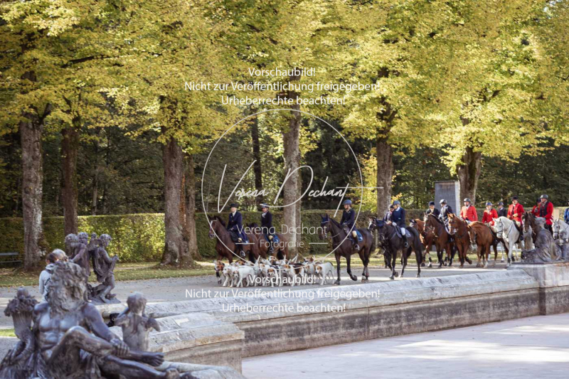 Schleppjagd_Herrenchiemsee-815 Schleppjagd_Herrenchiemsee-815