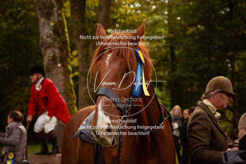 Schleppjagd_Herrenchiemsee-819 Schleppjagd_Herrenchiemsee-819