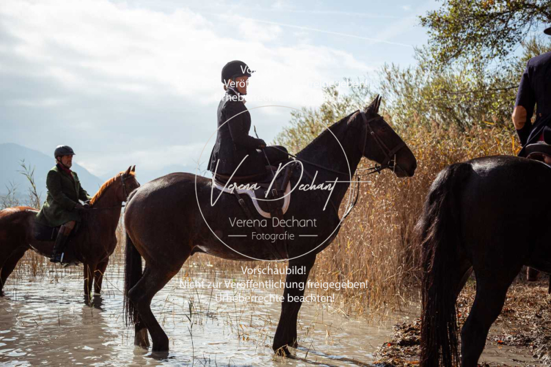 Schleppjagd_Herrenchiemsee-822 Schleppjagd_Herrenchiemsee-822