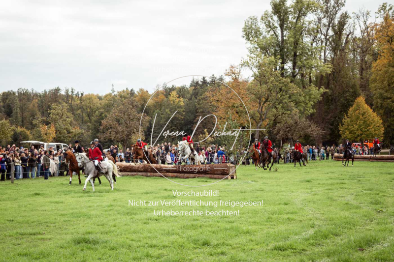 Schleppjagd_Herrenchiemsee-842 Schleppjagd_Herrenchiemsee-842