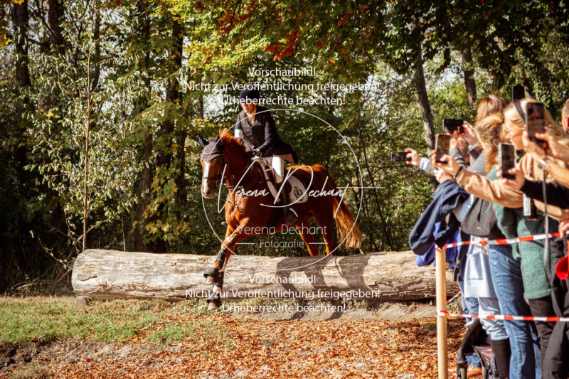 Schleppjagd_Herrenchiemsee-853 Schleppjagd_Herrenchiemsee-853