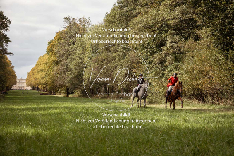 Schleppjagd_Herrenchiemsee-854 Schleppjagd_Herrenchiemsee-854