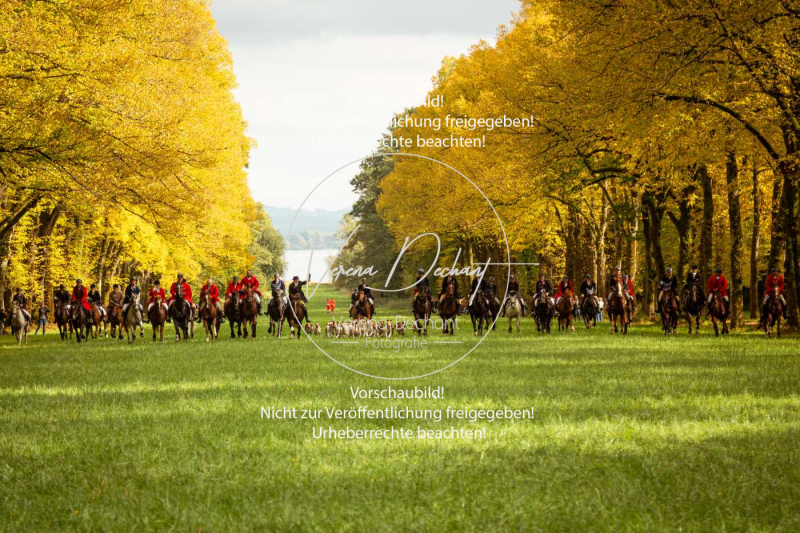 Schleppjagd_Herrenchiemsee-855-2 Schleppjagd_Herrenchiemsee-855-2