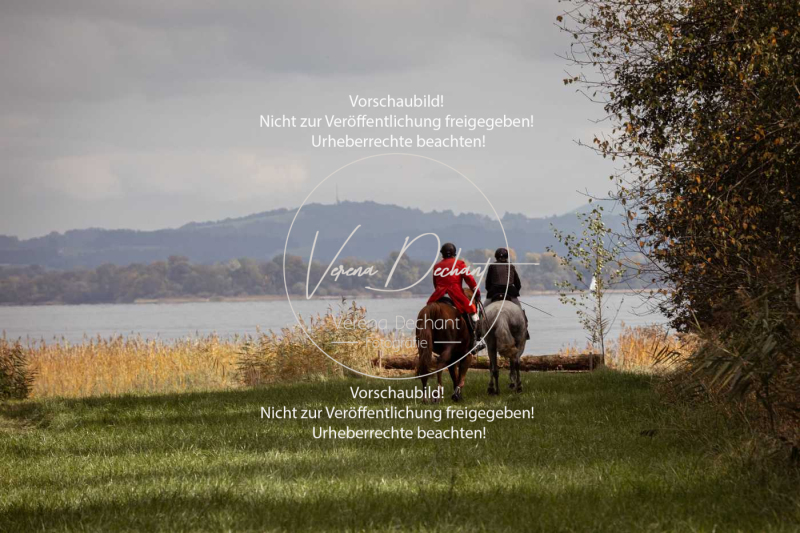 Schleppjagd_Herrenchiemsee-855 Schleppjagd_Herrenchiemsee-855