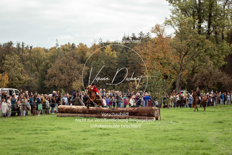 Schleppjagd_Herrenchiemsee-867 Schleppjagd_Herrenchiemsee-867