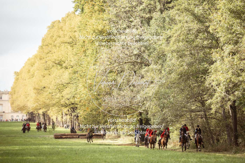 Schleppjagd_Herrenchiemsee-904 Schleppjagd_Herrenchiemsee-904