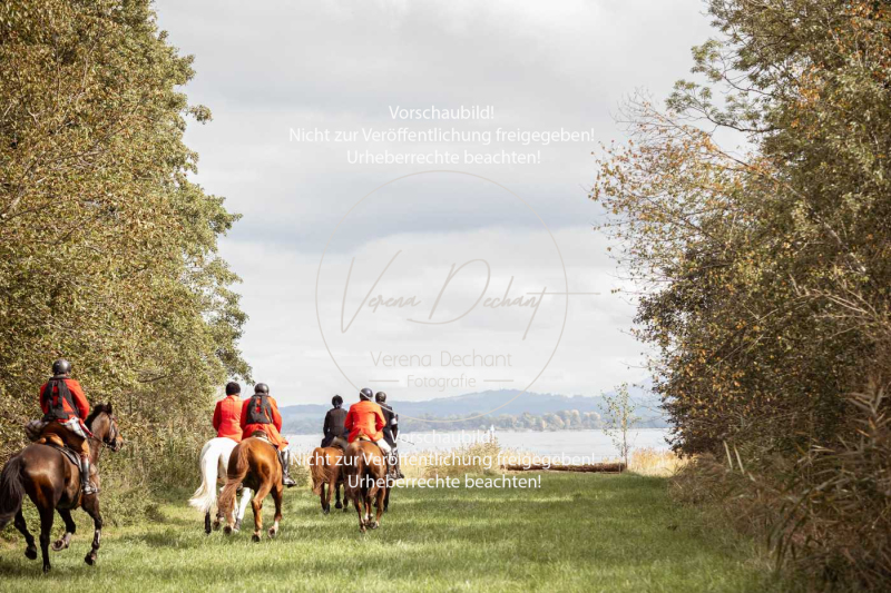 Schleppjagd_Herrenchiemsee-906 Schleppjagd_Herrenchiemsee-906