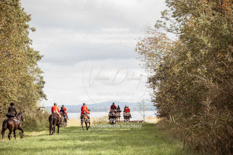 Schleppjagd_Herrenchiemsee-914 Schleppjagd_Herrenchiemsee-914