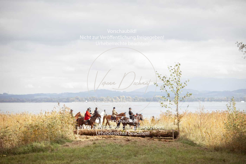 Schleppjagd_Herrenchiemsee-946 Schleppjagd_Herrenchiemsee-946