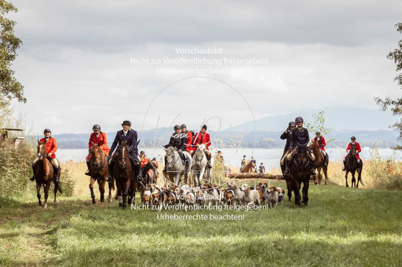 Schleppjagd_Herrenchiemsee-954 Schleppjagd_Herrenchiemsee-954
