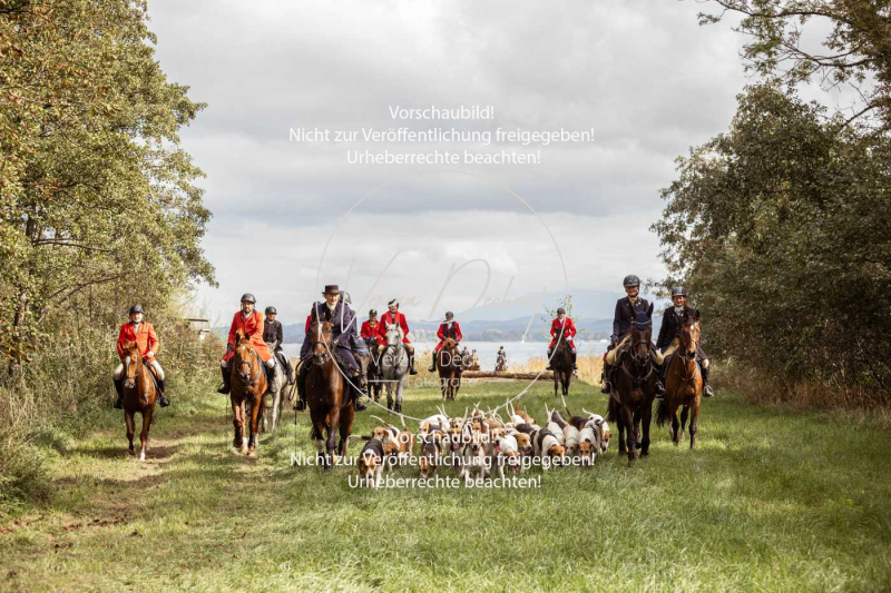 Schleppjagd_Herrenchiemsee-958 Schleppjagd_Herrenchiemsee-958