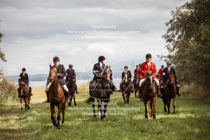 Schleppjagd_Herrenchiemsee-967 Schleppjagd_Herrenchiemsee-967