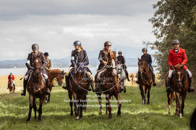 Schleppjagd_Herrenchiemsee-972 Schleppjagd_Herrenchiemsee-972