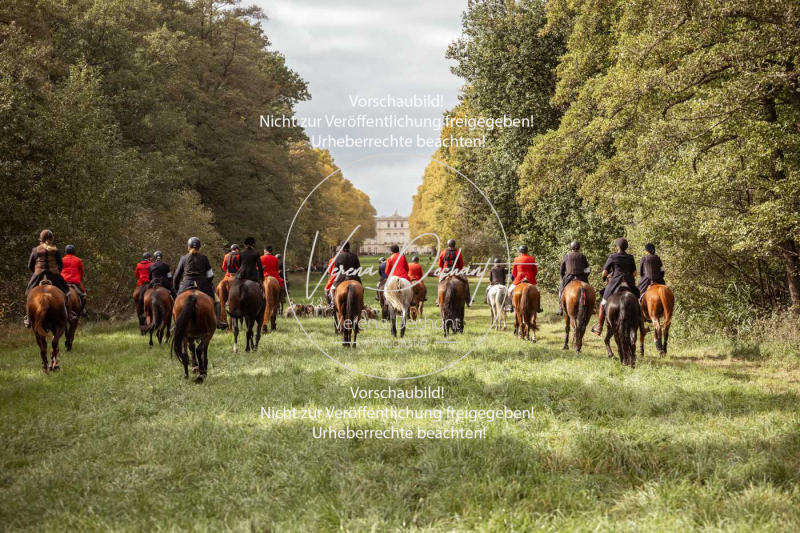 Schleppjagd_Herrenchiemsee-977 Schleppjagd_Herrenchiemsee-977