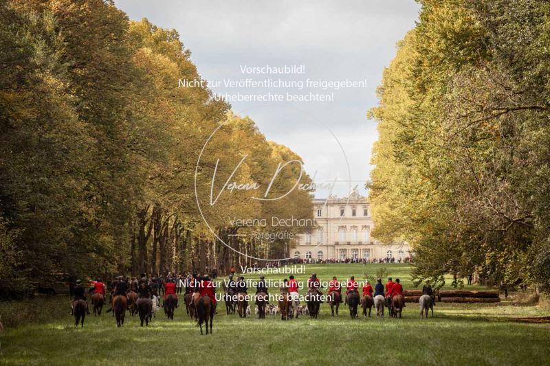 Schleppjagd_Herrenchiemsee-994 Schleppjagd_Herrenchiemsee-994