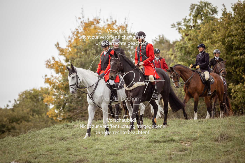 Schleppjagd_Laichingen-001