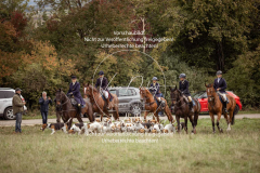 Schleppjagd_Laichingen-011