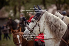 Schleppjagd_Laichingen-032