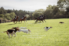 Schleppjagd_Laichingen-054