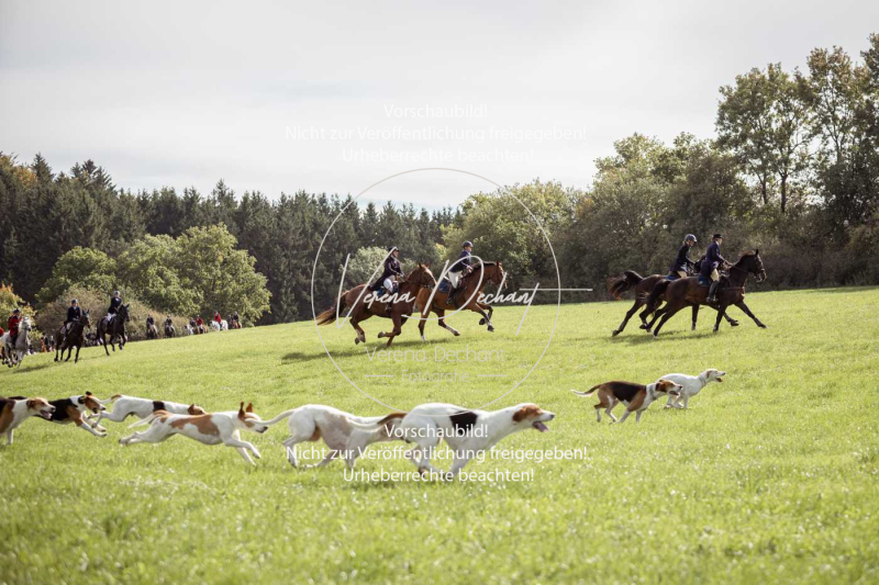 Schleppjagd_Laichingen-055