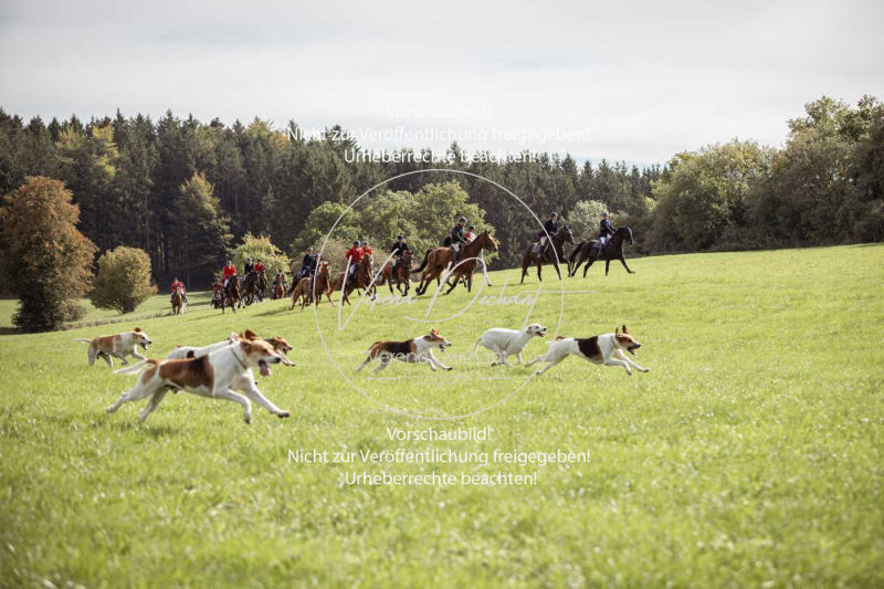 Schleppjagd_Laichingen-057