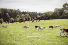 Schleppjagd_Laichingen-058