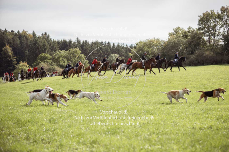 Schleppjagd_Laichingen-059