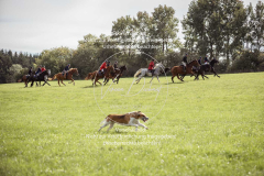 Schleppjagd_Laichingen-062