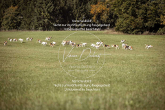 Schleppjagd_Laichingen-096