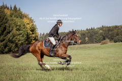 Schleppjagd_Laichingen-117