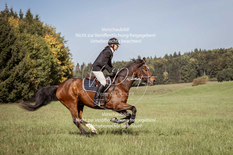 Schleppjagd_Laichingen-117