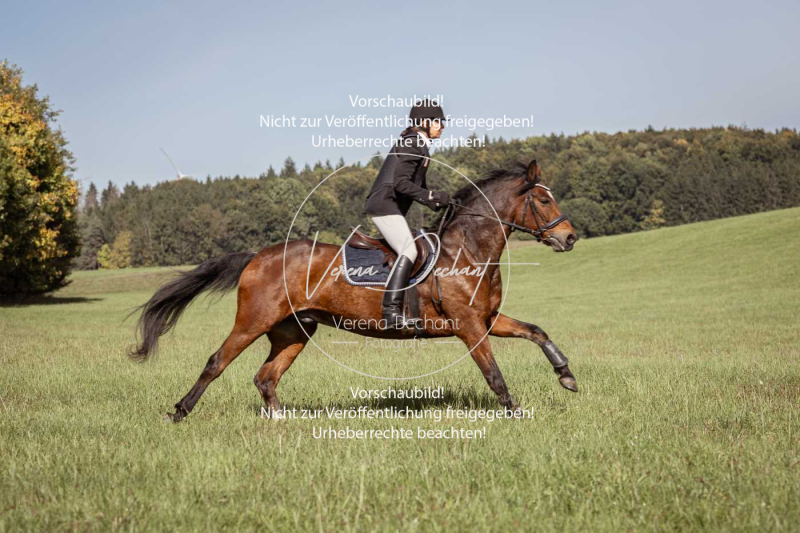 Schleppjagd_Laichingen-118