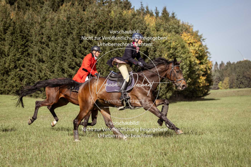 Schleppjagd_Laichingen-121