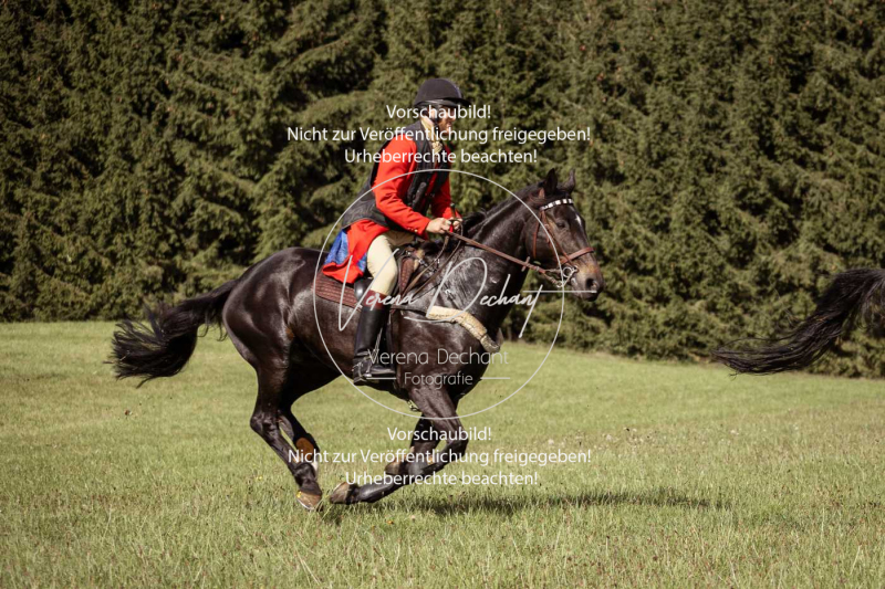 Schleppjagd_Laichingen-122