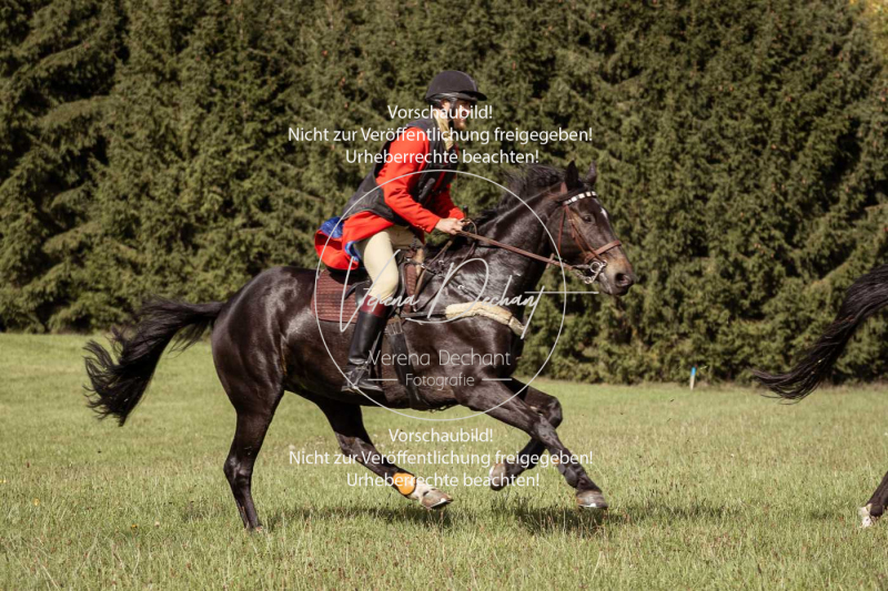 Schleppjagd_Laichingen-123