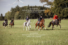 Schleppjagd_Laichingen-127