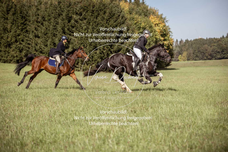 Schleppjagd_Laichingen-134