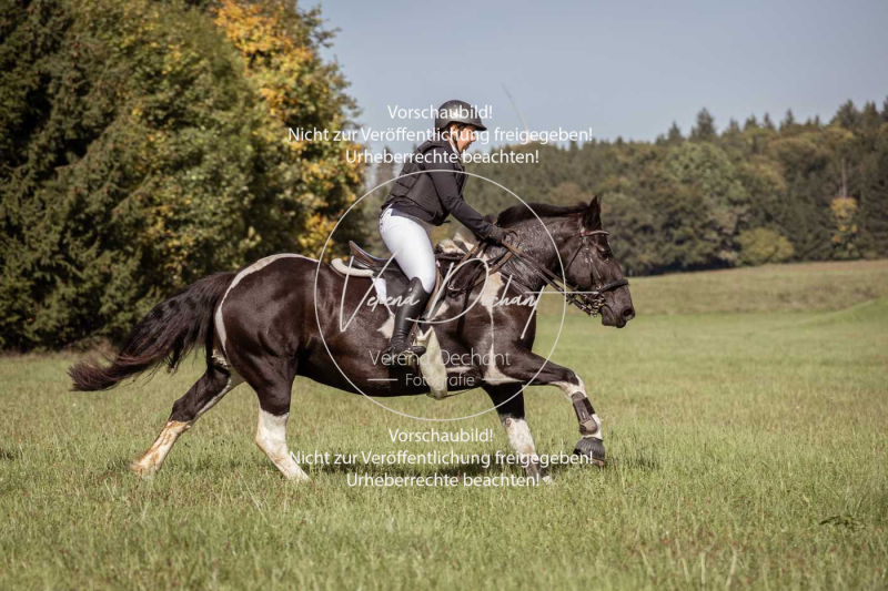 Schleppjagd_Laichingen-135