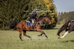 Schleppjagd_Laichingen-136