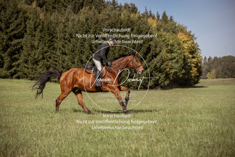 Schleppjagd_Laichingen-138