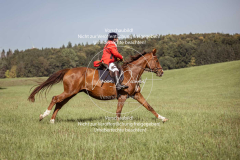 Schleppjagd_Laichingen-145