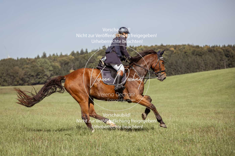 Schleppjagd_Laichingen-148