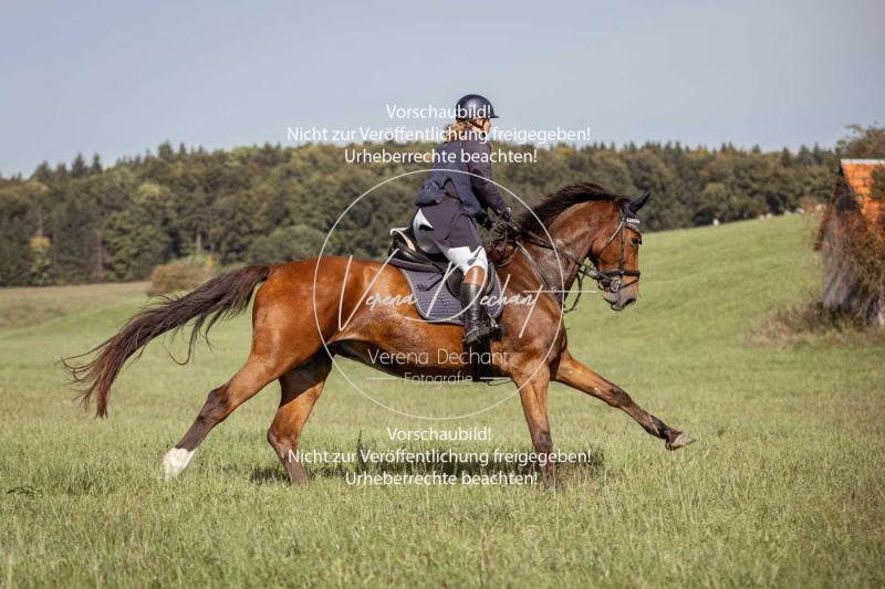 Schleppjagd_Laichingen-149