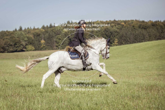 Schleppjagd_Laichingen-154